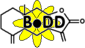 [BoDD logo]